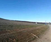 1584528476409.webp