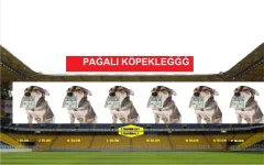fcvf7.webp