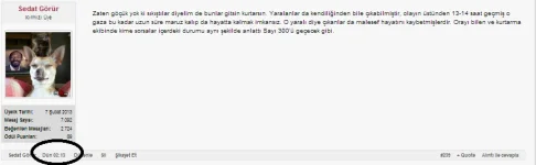 zcxvzxcv.webp