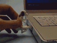 aOqOGbv_460sa.gif