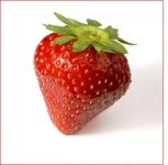 cilek.webp