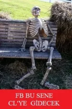 skeleton.webp