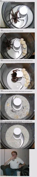 tarantula7xy8yh3aj.webp