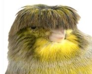 images (1).jpeg