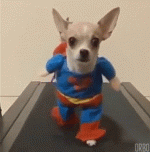 giphy (2).gif