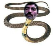 fako-yılan-1.jpg