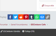 Ekran Alıntısı.PNG