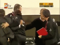 herr terim yumruk.gif