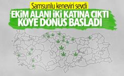 1589626227253.png