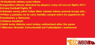 14-Demir P. Baş.png