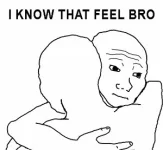 I_know_that_feel_bro.webp