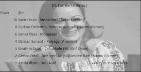 14.Tur.webp 14.Tur.webp