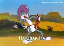 ha uşak 2.gif