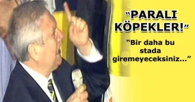 paralı köpekler.webp
