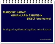 BpZVQLyCQAAFxD-.webp