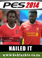 PES2014_Toure_Nailed_It.webp