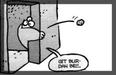 imagees.jpg