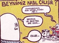 beynimiz_nasil_calisir-umut_sarikaya.jpg