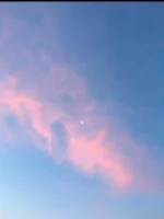 20200808_014805.webp