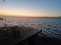 IMG-20200816-WA0010.webp