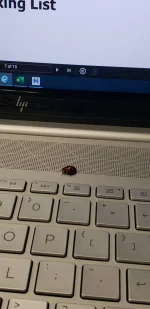 20200817_125512.webp
