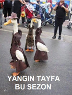 1598908105383.png