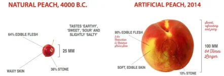 1599729229458.png 1599729229458.png