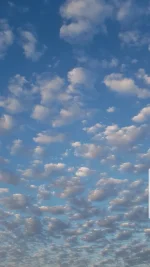 Screenshot_20200911-175456_Gallery.webp