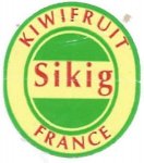Kiwi-fruit-Sikig (1).jpg