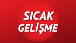 5eb512e2c9de3d1eecfe658d.jpg