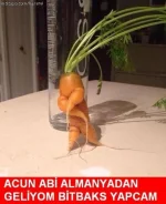 acun.webp