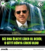 532f512fc77d81237847948d.webp