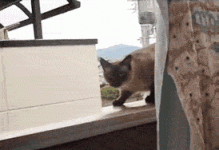 535149c6da7a4c9a350189da.gif