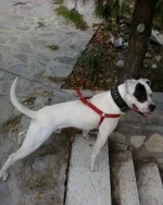 1252285843.webp