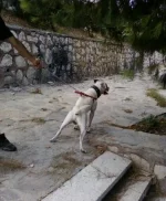 123.webp