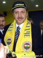 asdfasfs.webp