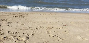 20200920_161719.webp