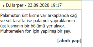 Knipsel.PNG