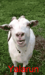 1600969120929.gif