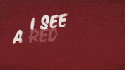 8089089.gif