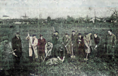 1602534765022.png