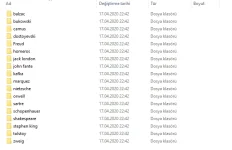 1603323957394.webp
