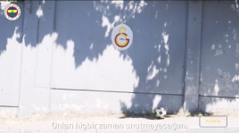 1603884548842.png
