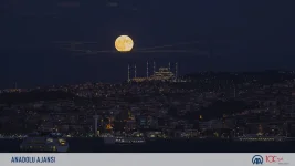 sad.webp