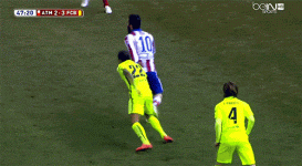 IMG_7993.GIF