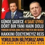 Ulureyis.webp