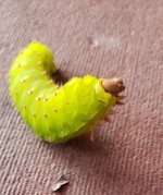 20201110_182549.jpg