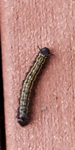 20201111_113607.jpg
