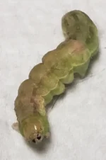 20201111_113432.jpg