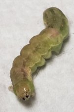20201111_113432.jpg